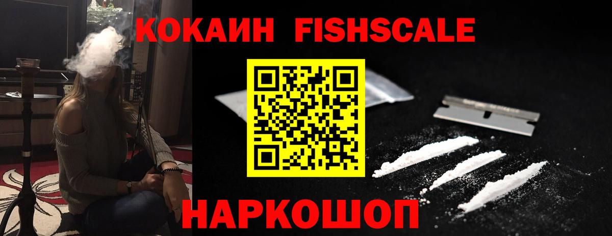 COCAIN FishScale  сколько стоит  Кокаин FishScale  Новосибирск 