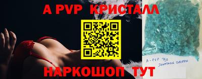 стафф Гатчина
