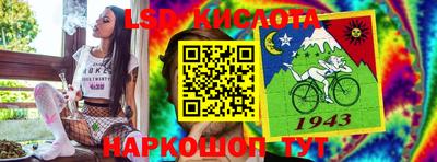 стафф Гатчина