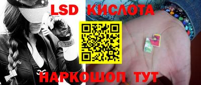 стафф Гатчина