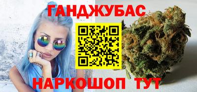 стафф Гатчина