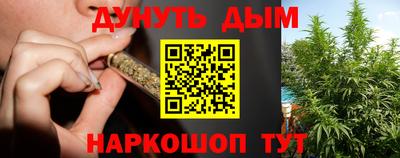 стафф Гатчина
