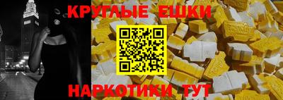 стафф Гатчина
