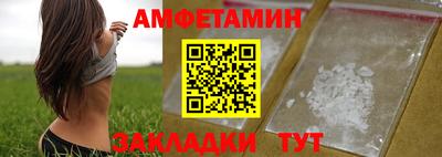 стафф Гатчина