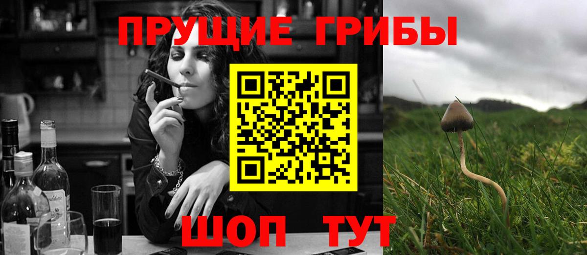 Псилоцибиновые грибы прущие грибы  купить наркотик  Новосибирск 