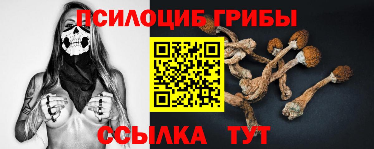 Галлюциногенные грибы прущие грибы Новосибирск